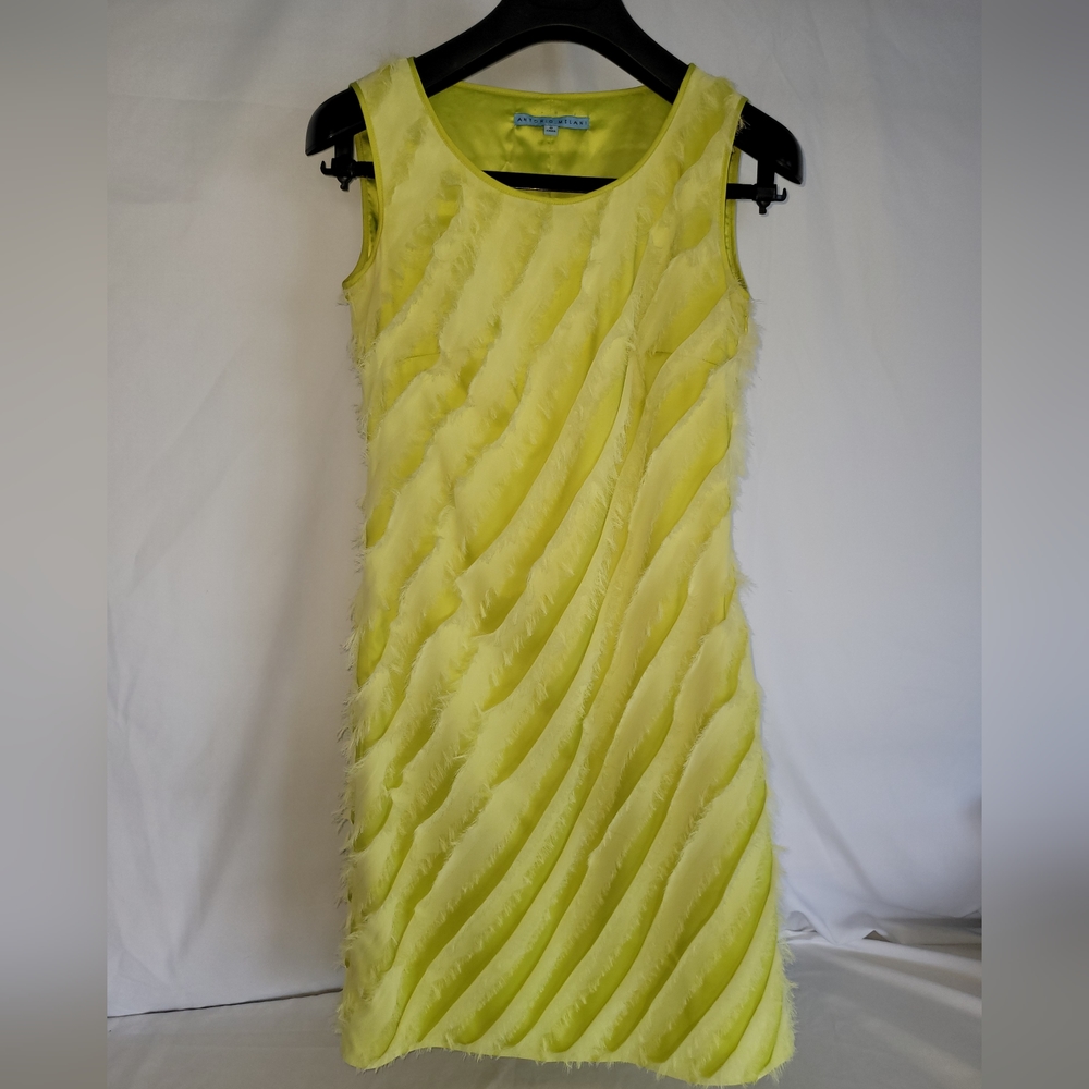 Beautiful Antonio Melani dress, size 0. Very unique and got lots of compliments